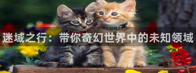 香蕉漫画书免费阅读下拉
