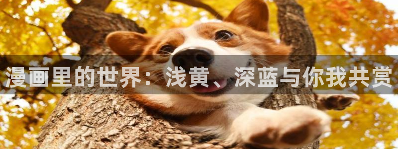 香蕉漫画,